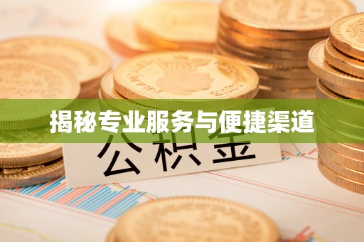 江阳揭秘专业服务与便捷渠道