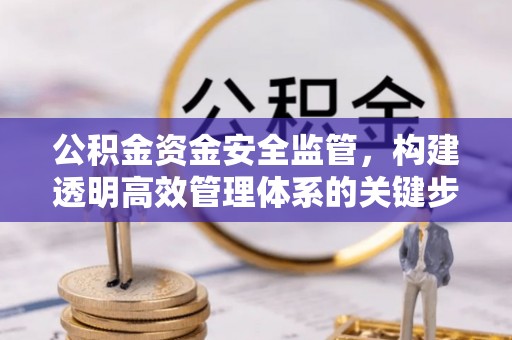 江阳公积金资金安全监管，构建透明高效管理体系的关键步骤