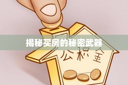 江阳揭秘买房的秘密武器