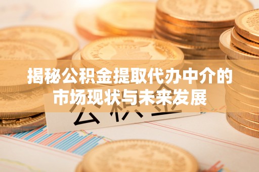 江阳揭秘公积金提取代办中介的市场现状与未来发展