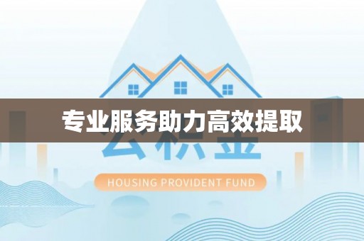 江阳专业服务助力高效提取